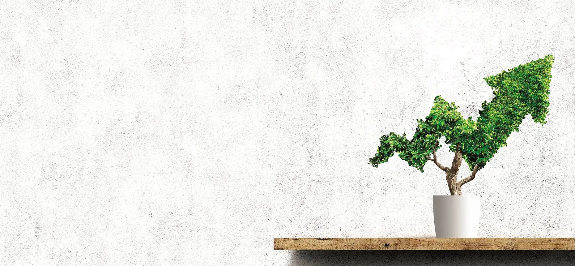 What do you need to consider when building a portfolio?