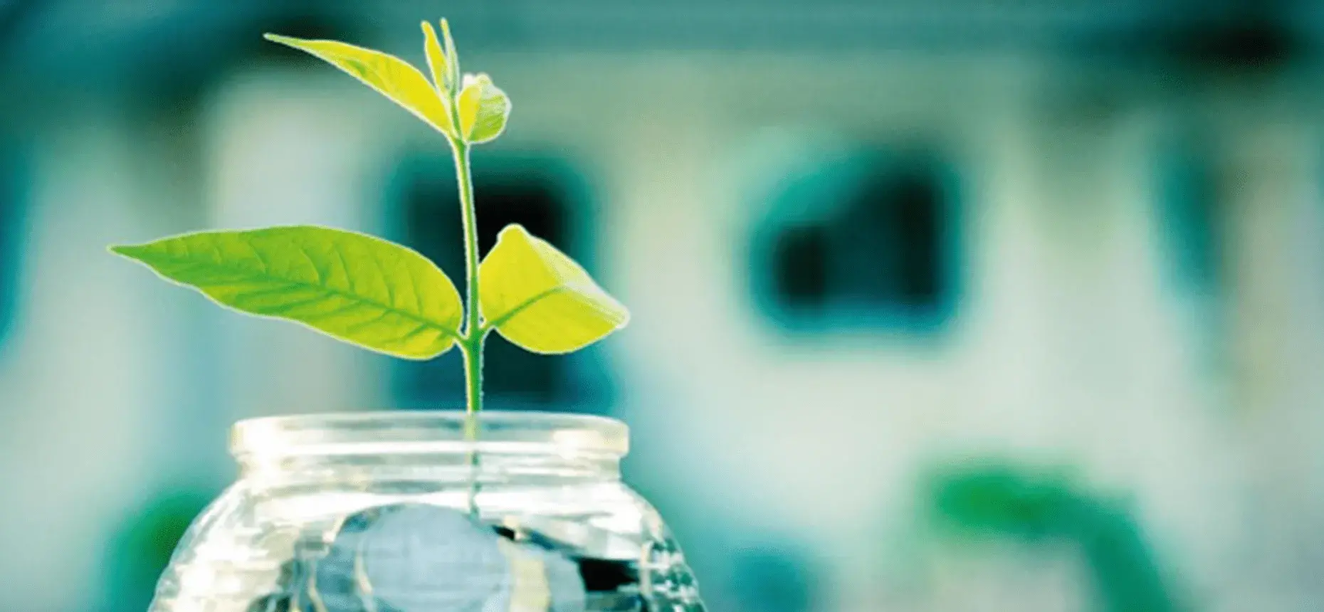 What is in a name? Ethical and responsible investing explained