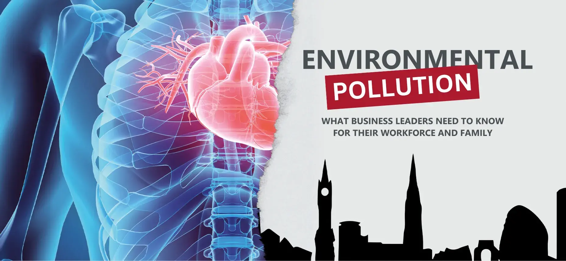 Environmental Pollution 