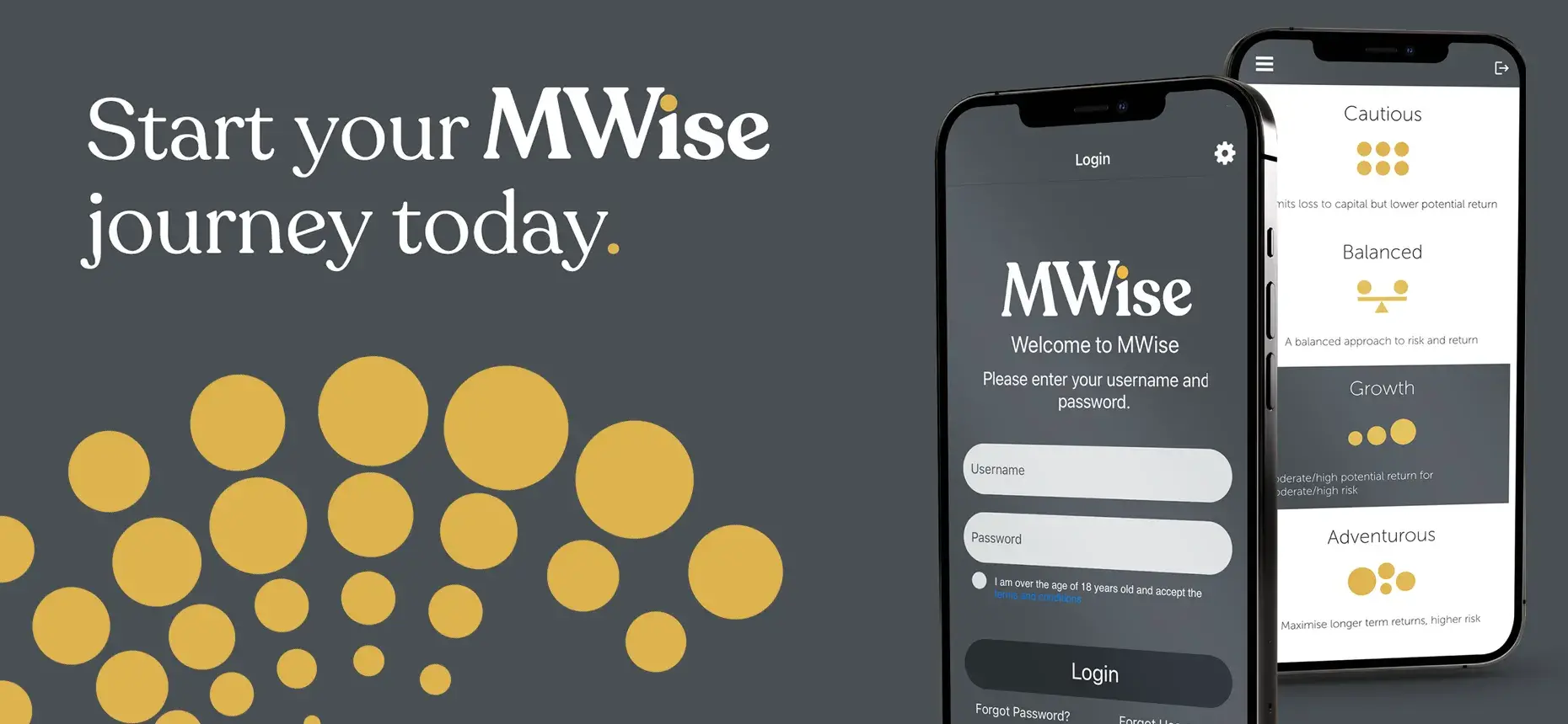 MWise app banner